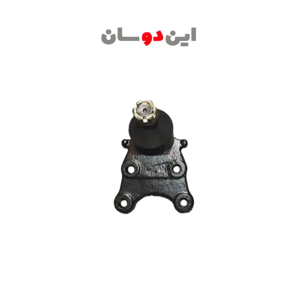 سیبک طبق پایین وینگل